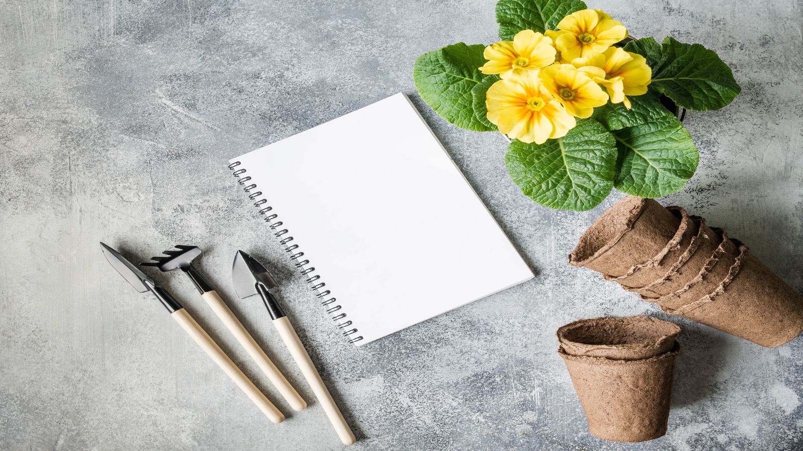 Open field notebook on a desk with reference materials and a pen